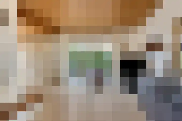 H.W. Mesdagstraat 22 Nietap thumbnail 8