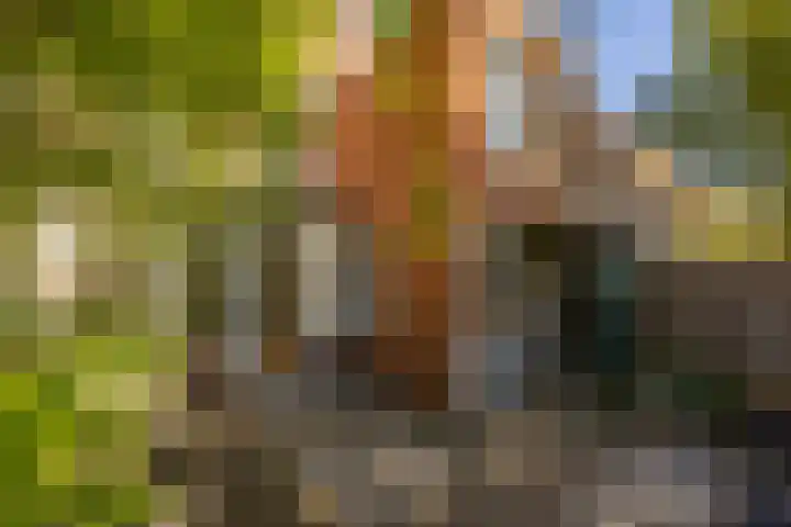 H.W. Mesdagstraat 34 Groningen thumbnail 27