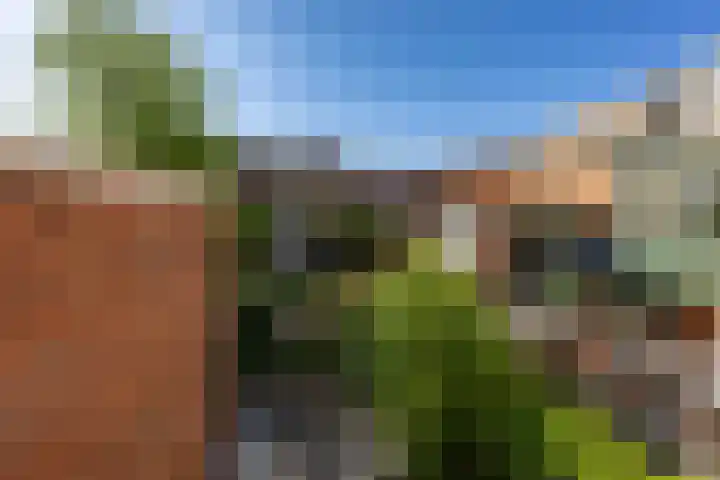 H.W. Mesdagstraat 34 Groningen thumbnail 52