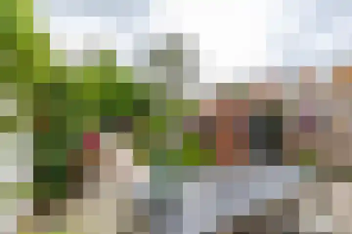 H.W. Mesdagstraat 47 Groningen thumbnail 28