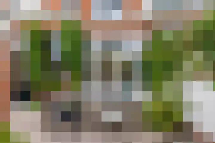 H.W. Mesdagstraat 47 Groningen thumbnail 29