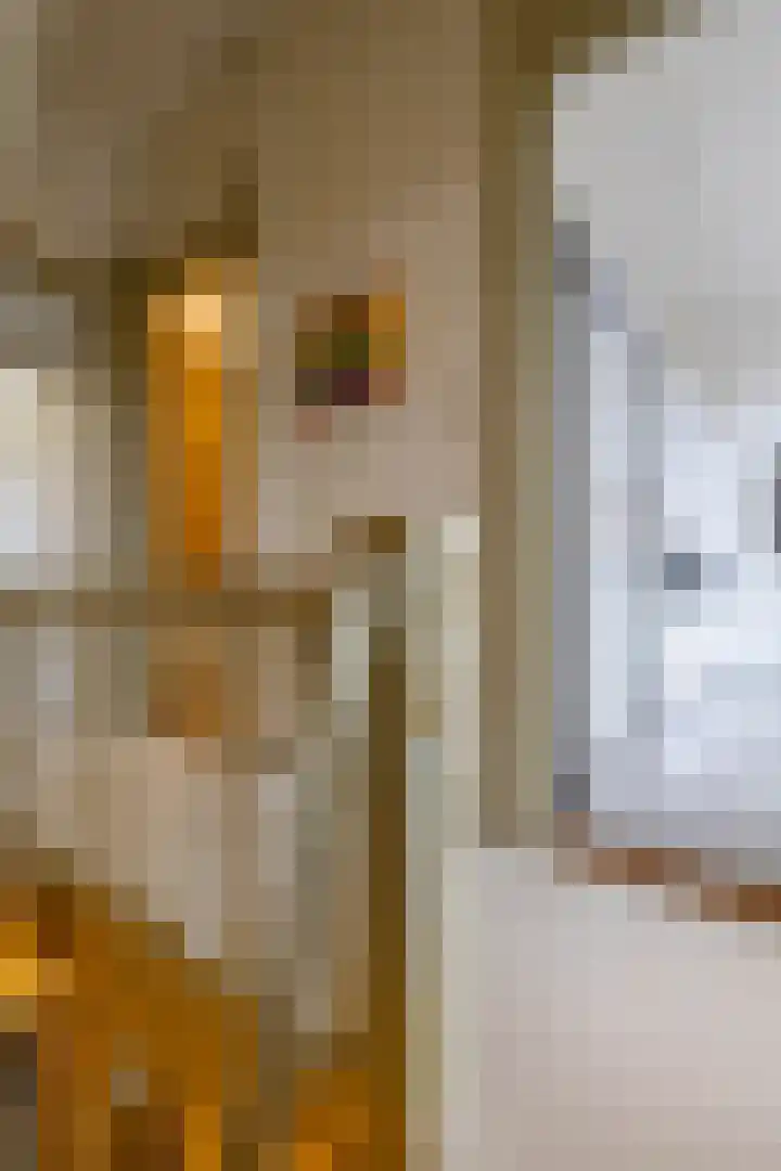 H.W. Mesdagstraat 47 Groningen thumbnail 36