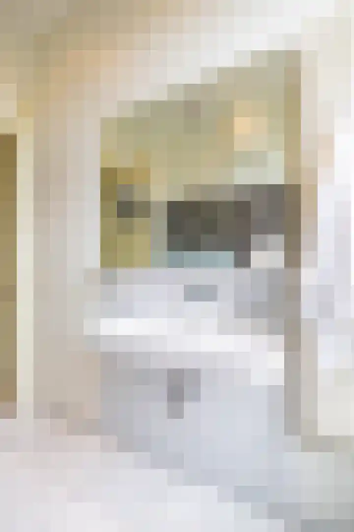 H.W. Mesdagstraat 47 Groningen thumbnail 42