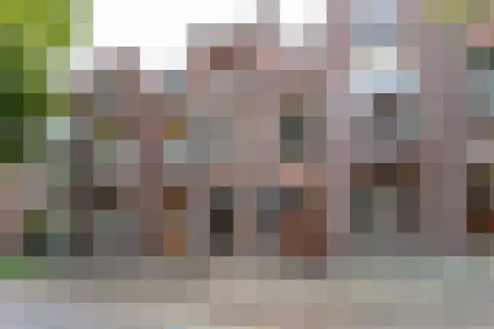 H.W. Mesdagstraat 47 Groningen thumbnail 5