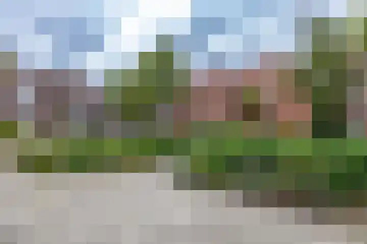 H.W. Mesdagstraat 47 Groningen thumbnail 61