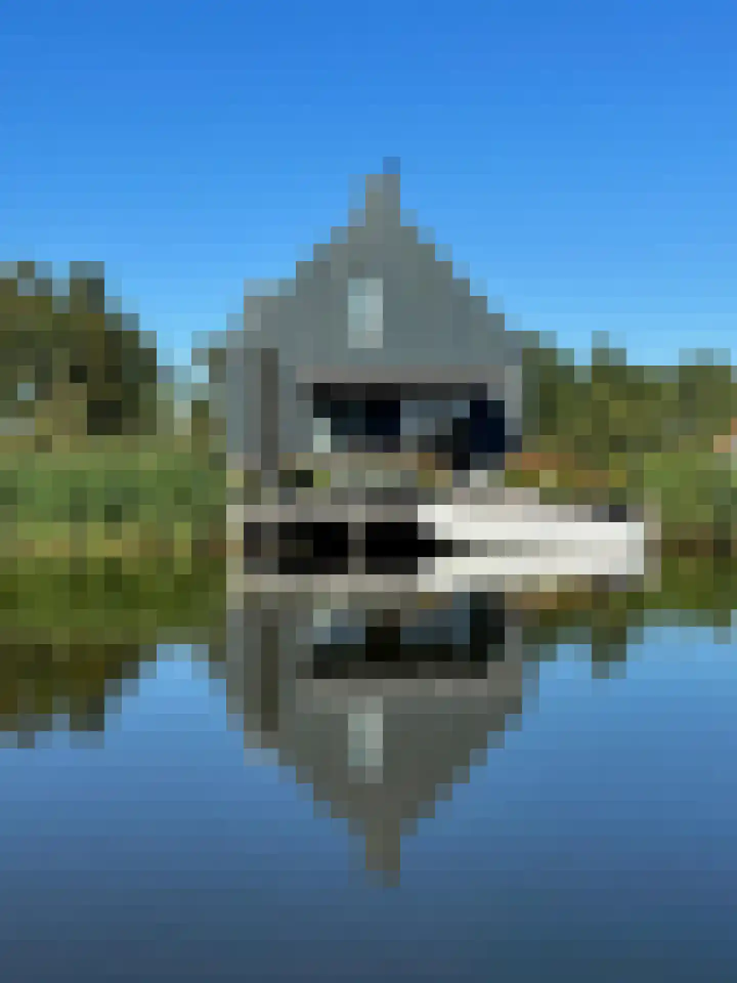 H.W. Stekelenburgweg 7 Langelille thumbnail 9
