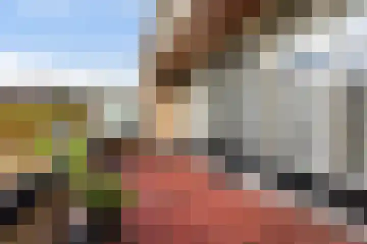 H.W. van Glinstrastraat 37 Burgum thumbnail 17