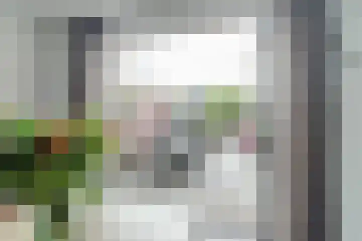 H.W. van Heelstraat 1 b Hurwenen thumbnail 11
