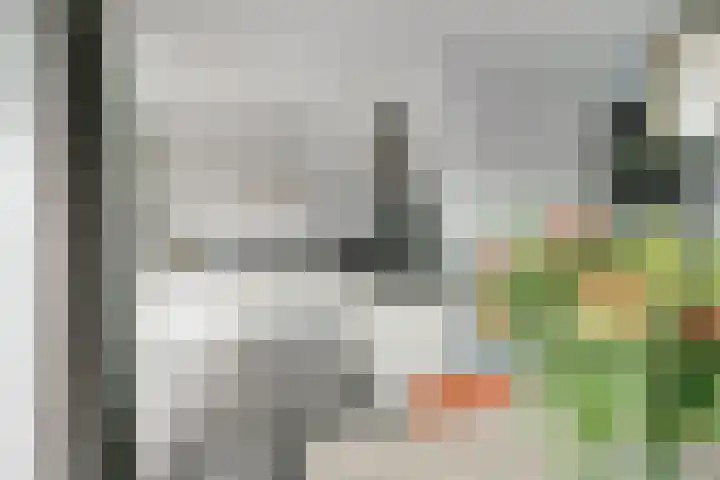 H.W. van Heelstraat 1 b Hurwenen thumbnail 13