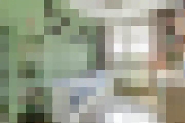 H.W. van Heelstraat 1 b Hurwenen thumbnail 23