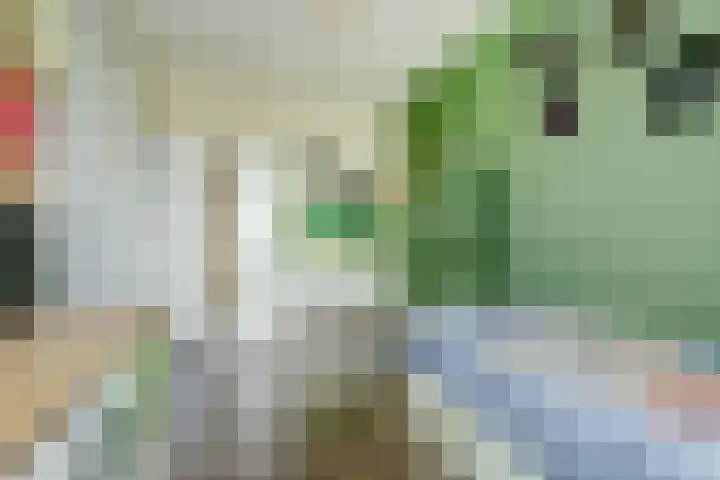 H.W. van Heelstraat 1 b Hurwenen thumbnail 24