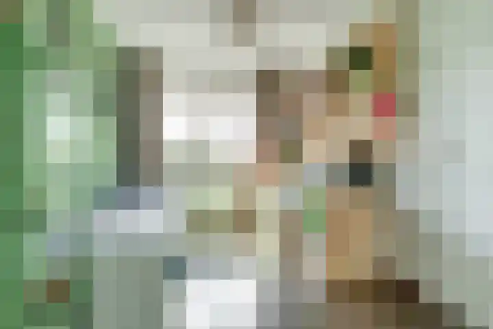 H.W. van Heelstraat 1 b Hurwenen thumbnail 25