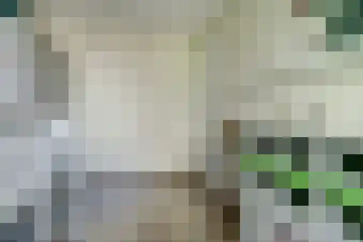 H.W. van Heelstraat 1 b Hurwenen thumbnail 27