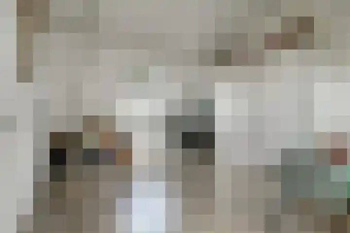 H.W. van Heelstraat 1 b Hurwenen thumbnail 31