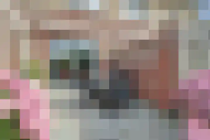 H.W. van Heelstraat 1 b Hurwenen thumbnail 33