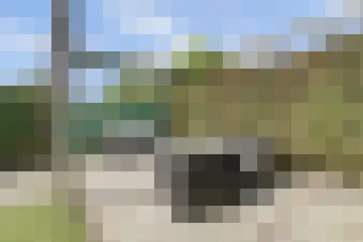 H.W. van Heelstraat 1 b Hurwenen thumbnail 37