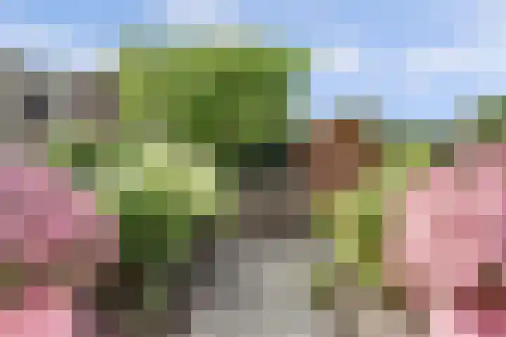 H.W. van Heelstraat 1 b Hurwenen thumbnail 38