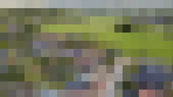 H.W. van Heelstraat 1 b Hurwenen thumbnail 46