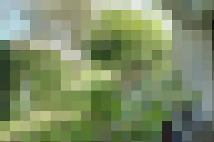 H.W. van Heelstraat 1 b Hurwenen thumbnail 6