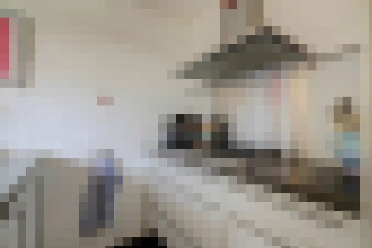 H.W. van Heelstraat 3 Hurwenen thumbnail 16