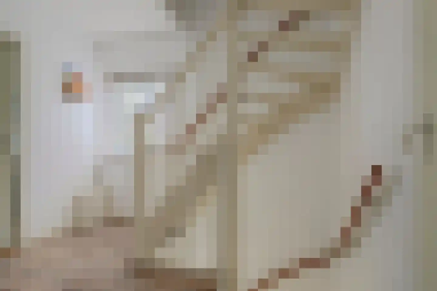H.W. van Heelstraat 3 Hurwenen thumbnail 20
