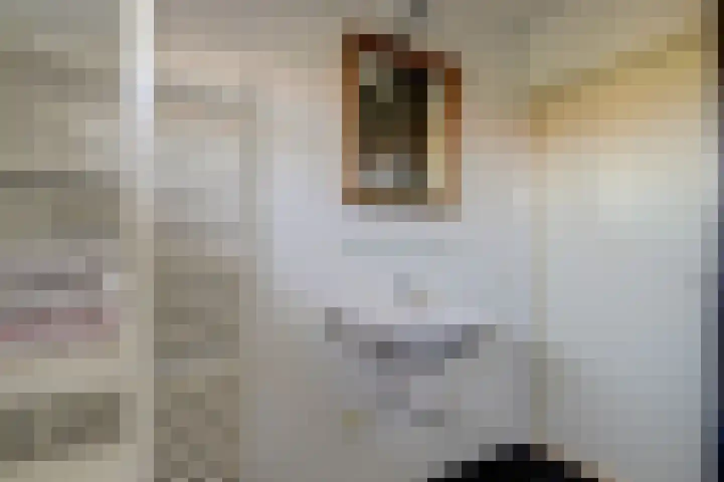 H.W. van Heelstraat 3 Hurwenen thumbnail 33