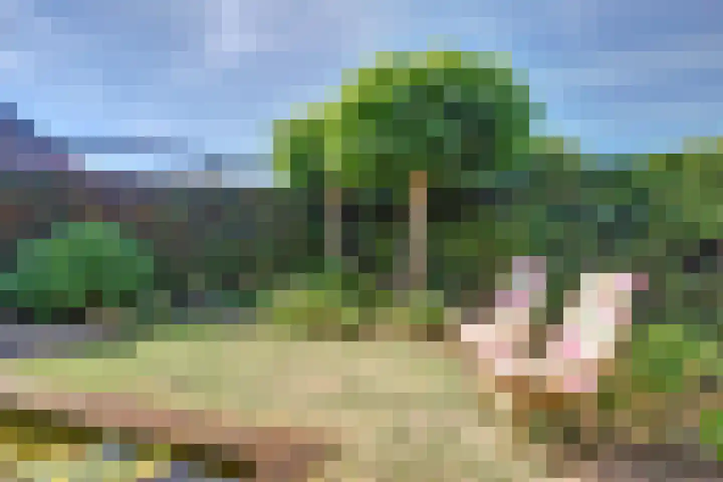 H.W. van Heelstraat 3 Hurwenen thumbnail 42