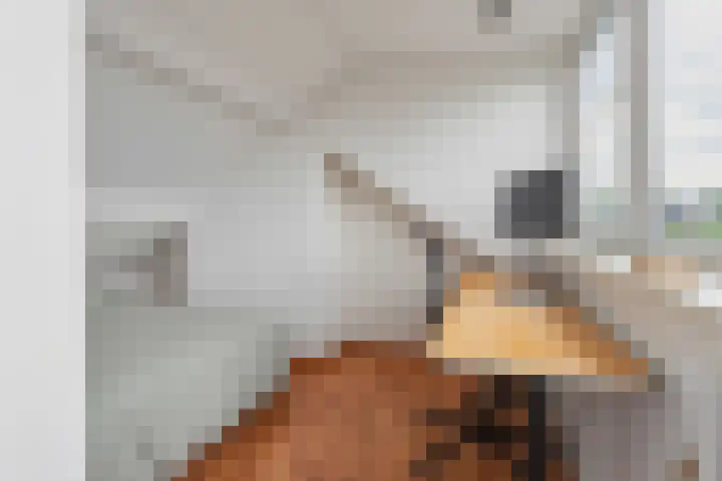 H. Wijnmalenstraat 15 Utrecht thumbnail 27