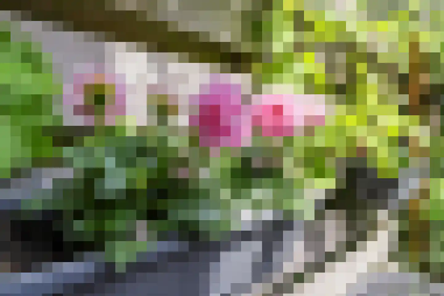 H. Wijnmalenstraat 15 Utrecht thumbnail 33