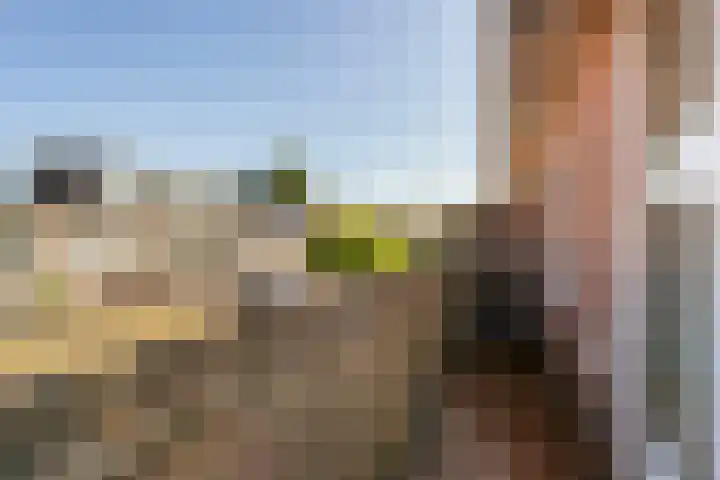 H. Wijnmalenstraat 20 Utrecht thumbnail 19
