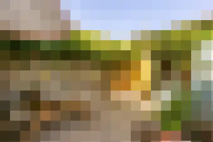 H. Wijnmalenstraat 20 Utrecht thumbnail 30