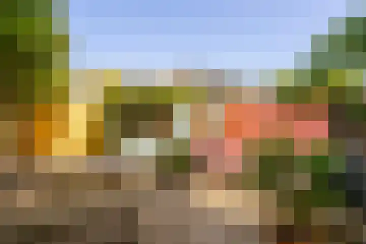 H. Wijnmalenstraat 20 Utrecht thumbnail 33