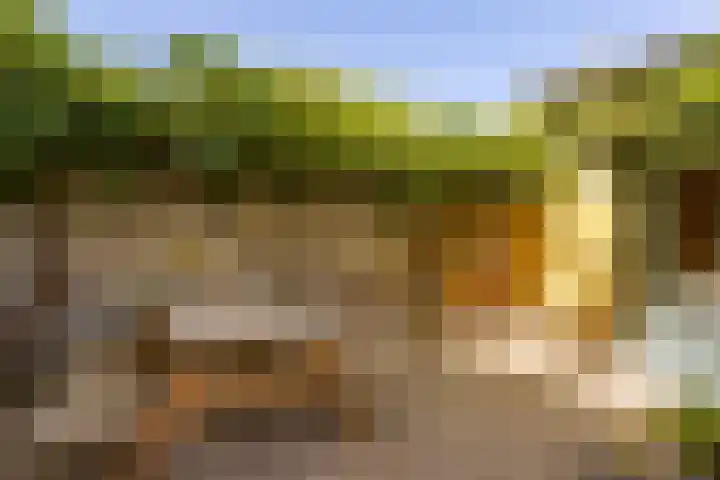 H. Wijnmalenstraat 20 Utrecht thumbnail 36
