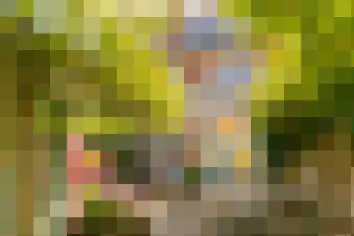 H. Wijnmalenstraat 20 Utrecht thumbnail 38
