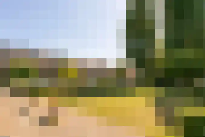 H. Wijnmalenstraat 20 Utrecht thumbnail 41