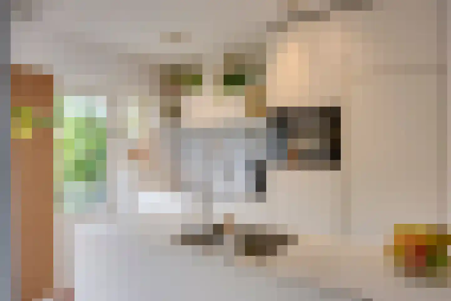H. Wijnmalenstraat 27 Utrecht thumbnail 17