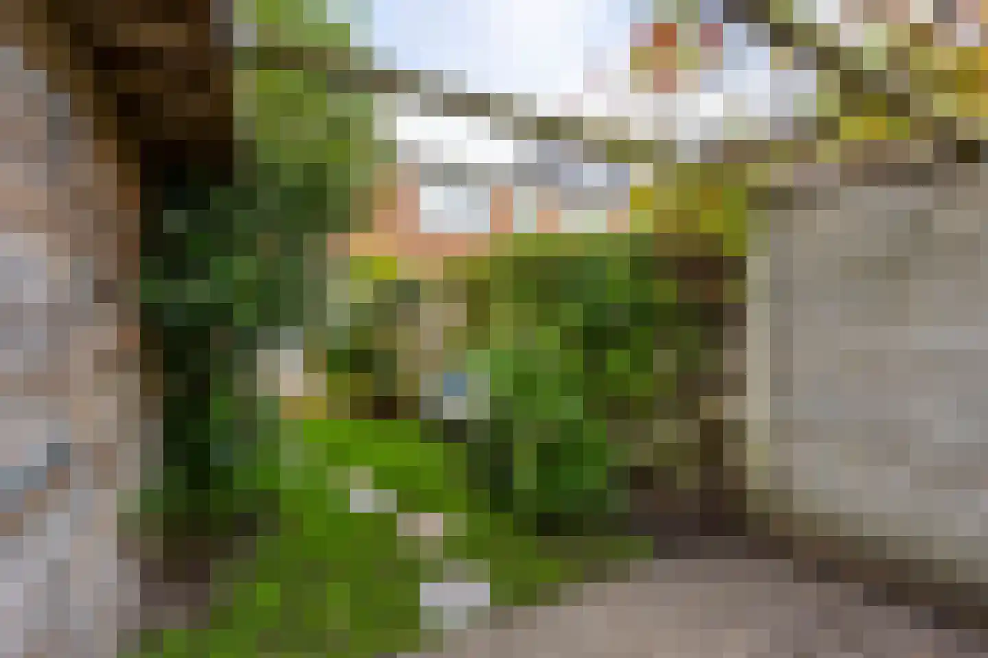H. Wijnmalenstraat 27 Utrecht thumbnail 25