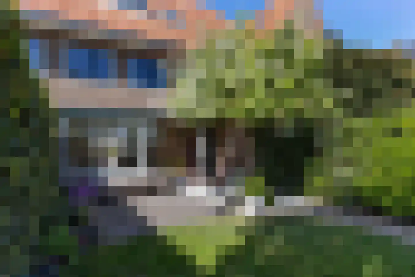 H. Zwaardemakerstraat 19 Bussum thumbnail 37