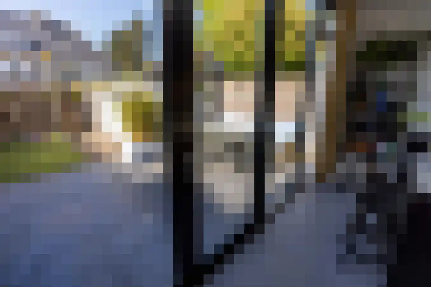 H. Zwaardemakerstraat 19 Bussum thumbnail 7