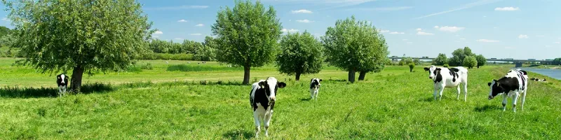 Kantoor foto van H3 Landelijk Vastgoed B.V.