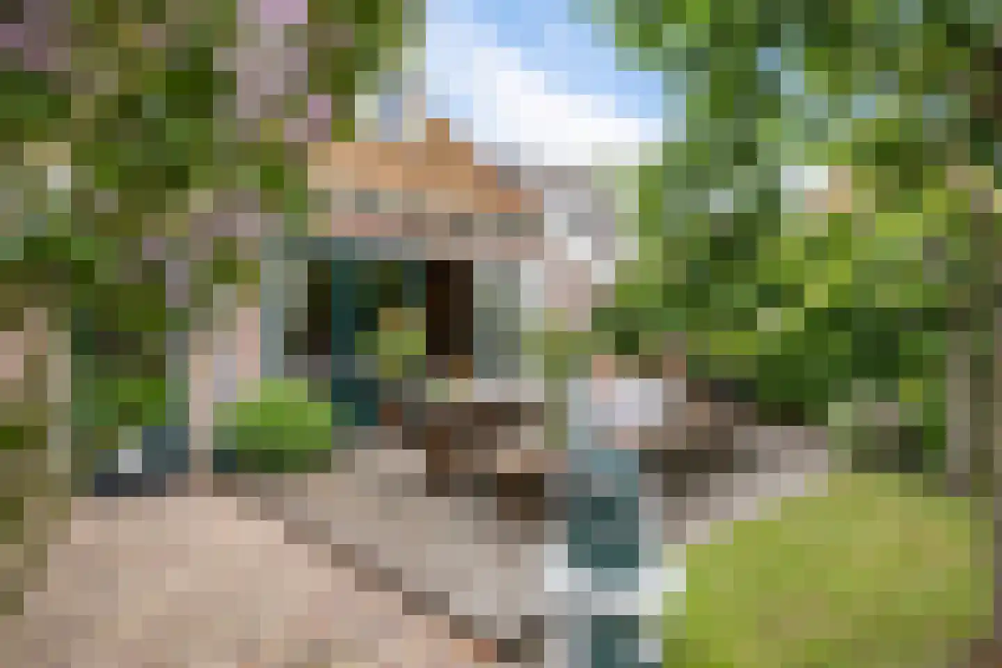 Haadstrjitte 11 Wierum