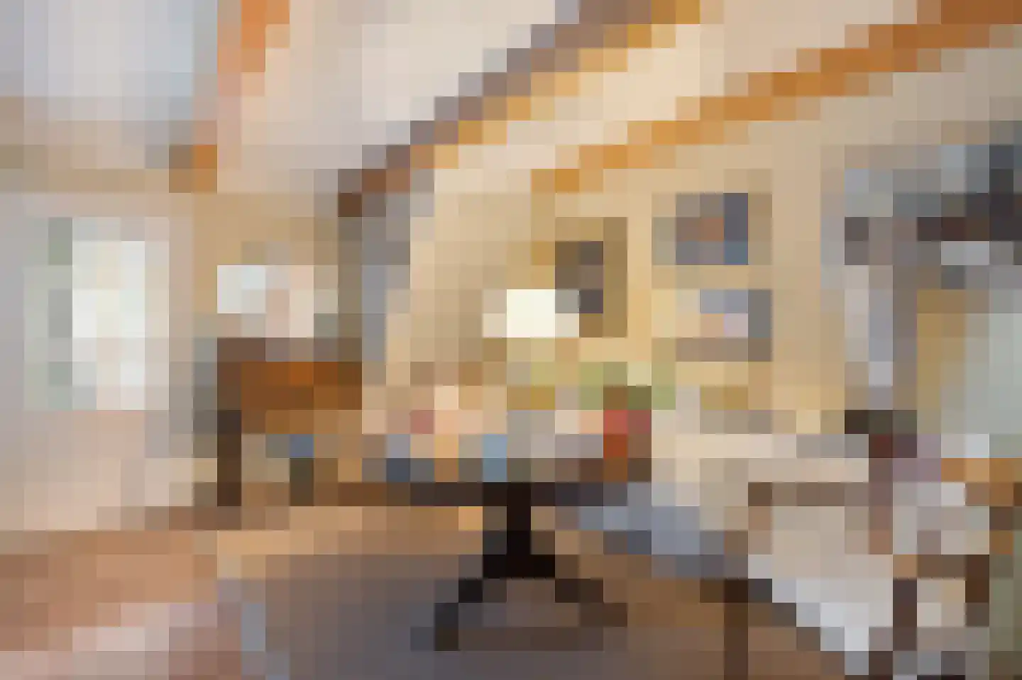 Haadstrjitte 11 Wierum thumbnail 10