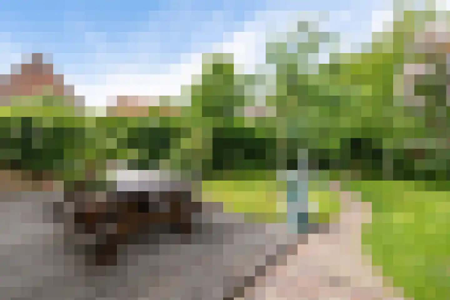 Haadstrjitte 11 Wierum thumbnail 15