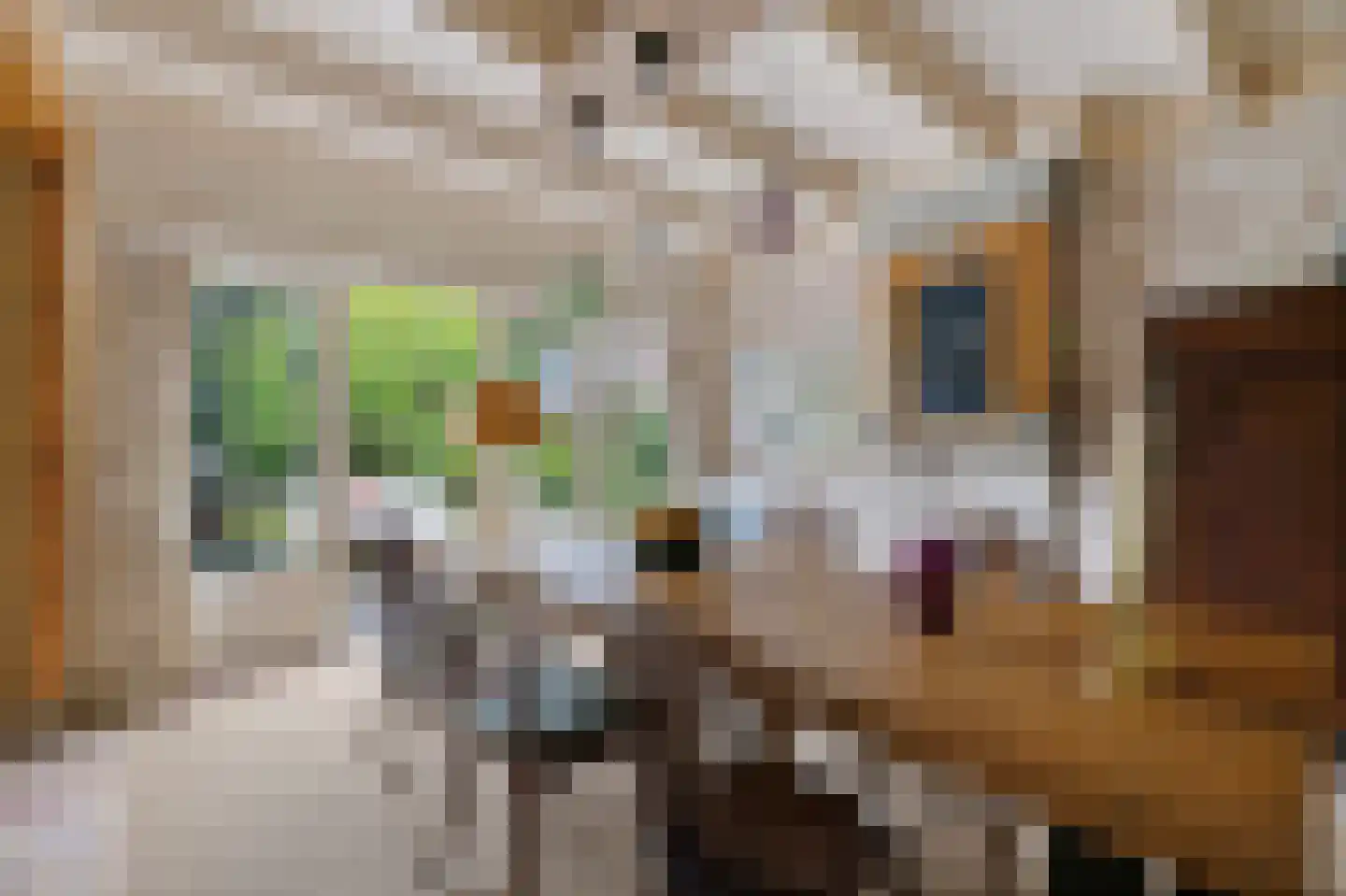 Haadstrjitte 11 Wierum thumbnail 21