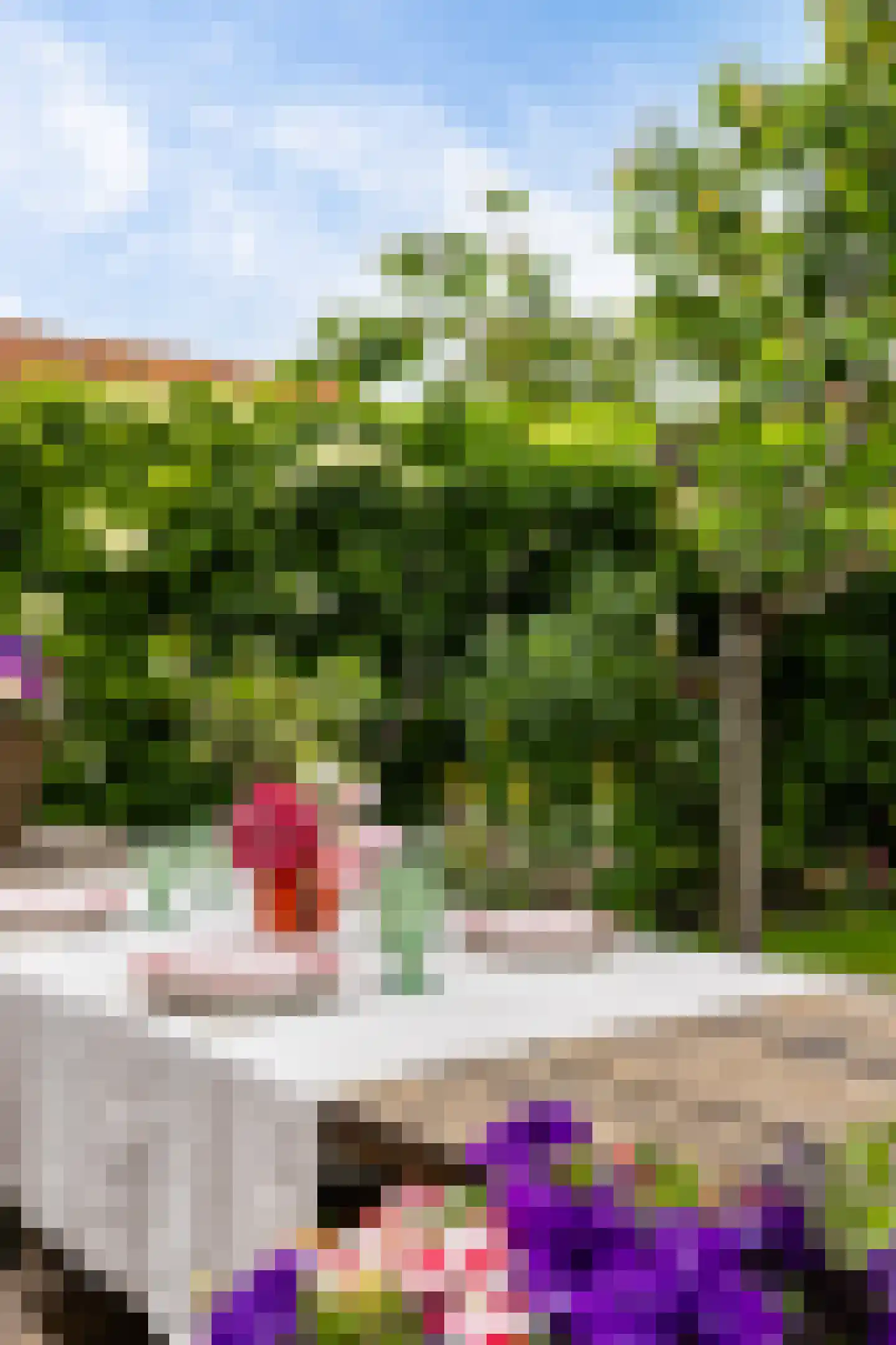 Haadstrjitte 11 Wierum thumbnail 23