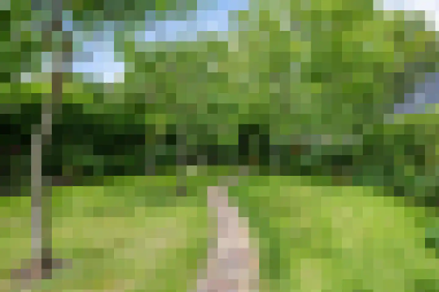 Haadstrjitte 11 Wierum thumbnail 24