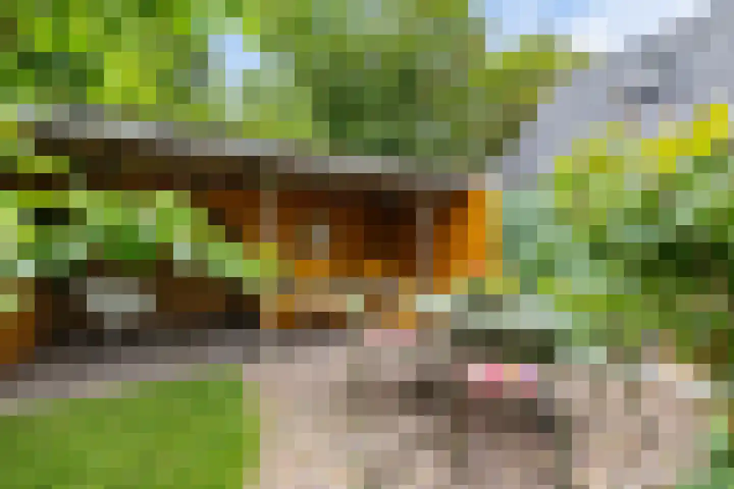 Haadstrjitte 11 Wierum thumbnail 25
