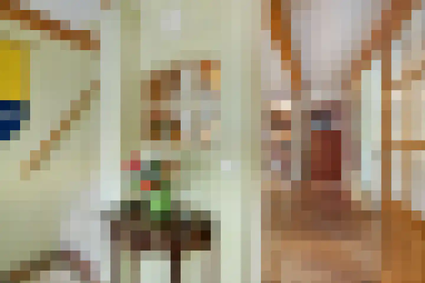 Haadstrjitte 11 Wierum thumbnail 30