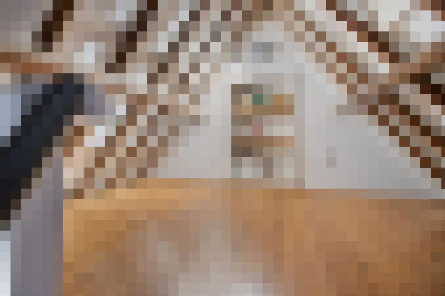 Haadstrjitte 11 Wierum thumbnail 34