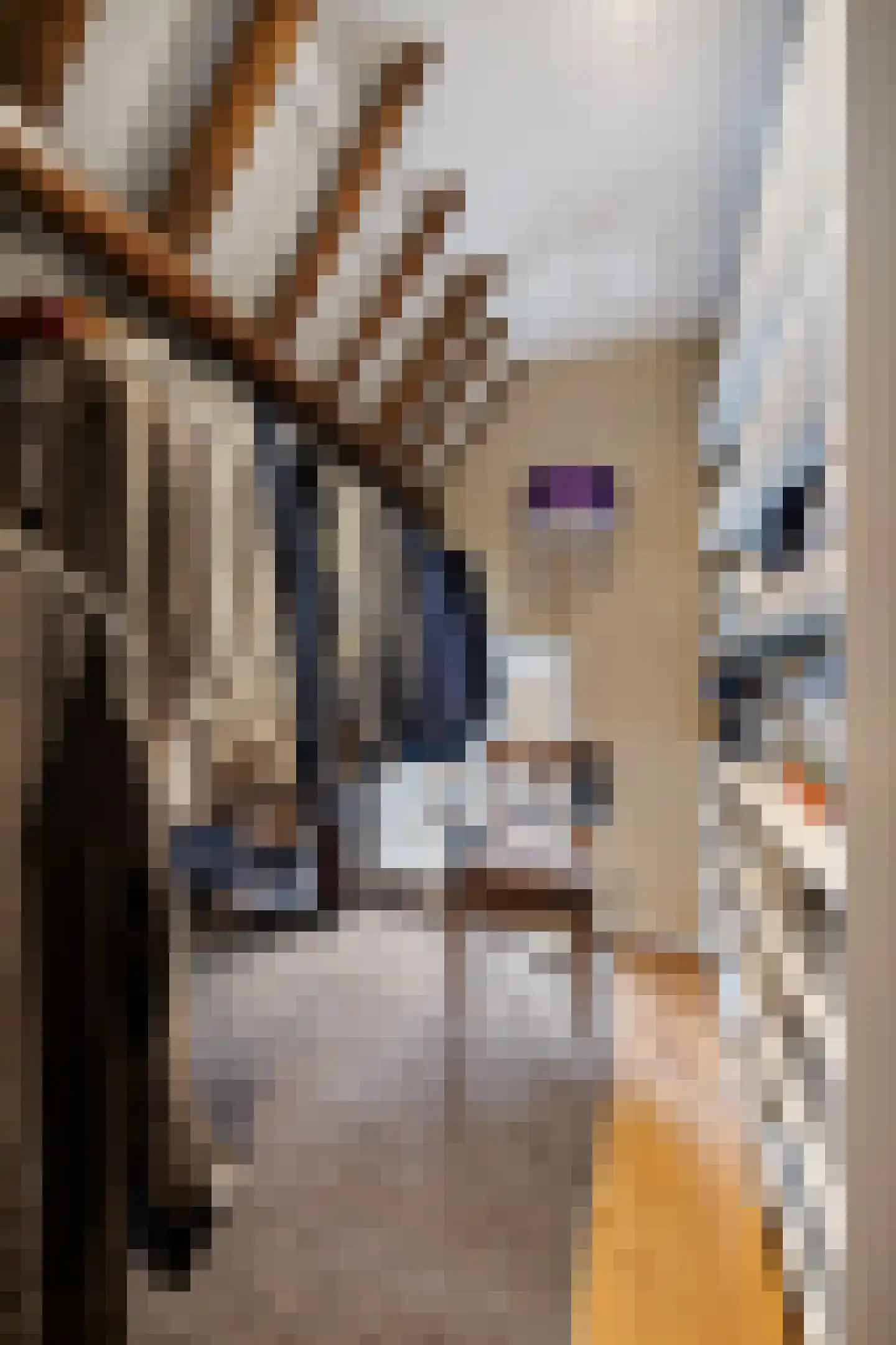 Haadstrjitte 11 Wierum thumbnail 35